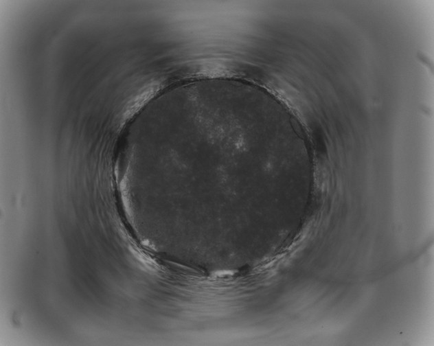 X0000097820393200803141145