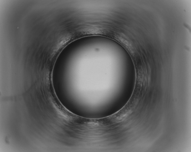 X0000097820394200803141145