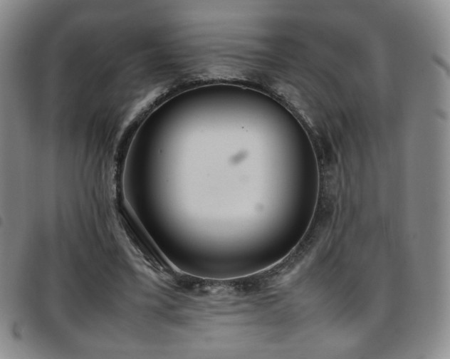 X0000097820395200803141145