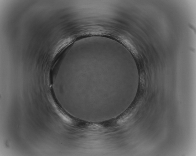 X0000097820397200803141145