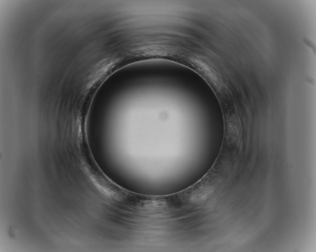 X0000097820398200803141145