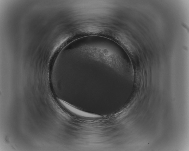 X0000097820399200803141145