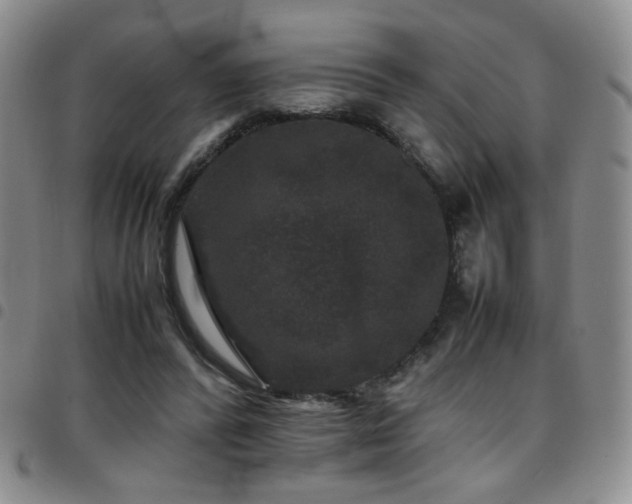 X0000097820400200803141145