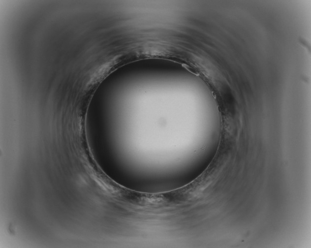 X0000097820401200803141145