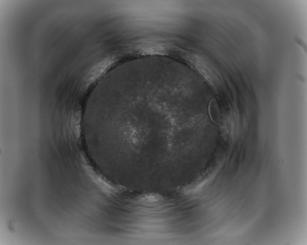 X0000097820402200803141145