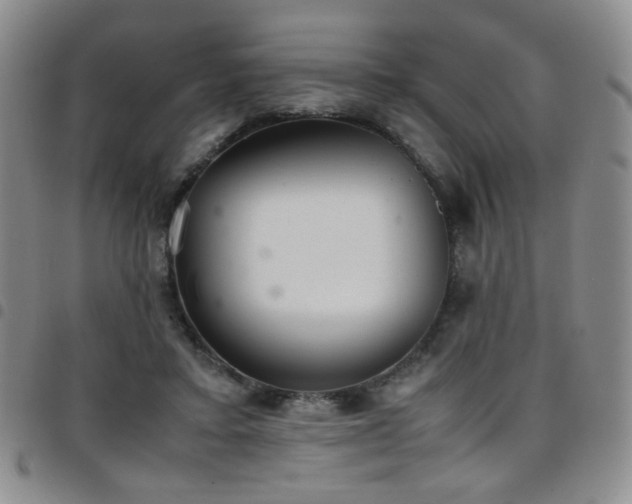 X0000097820403200803141145