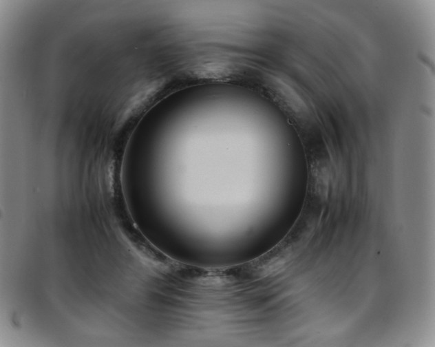 X0000097820404200803141145