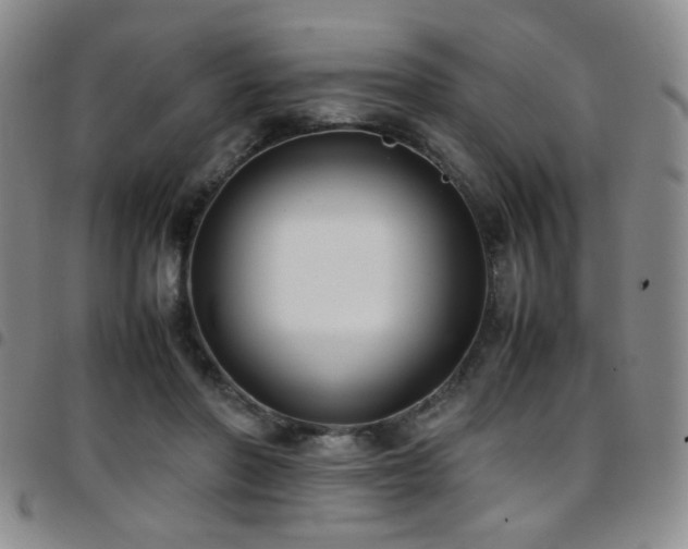 X0000097820406200803141145