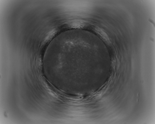 X0000097820407200803141145