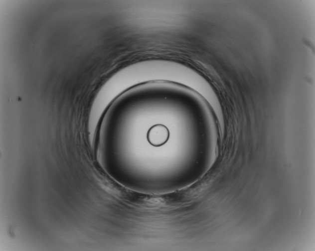 X0000097820409200803141145