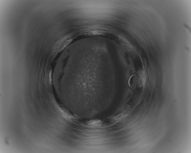 X0000097820410200803141145