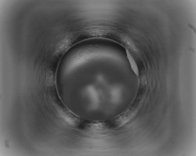 X0000097820411200803141145