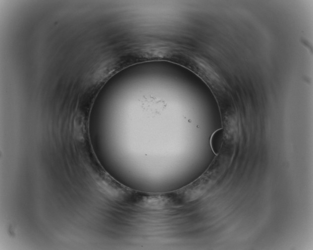 X0000097820414200803141145