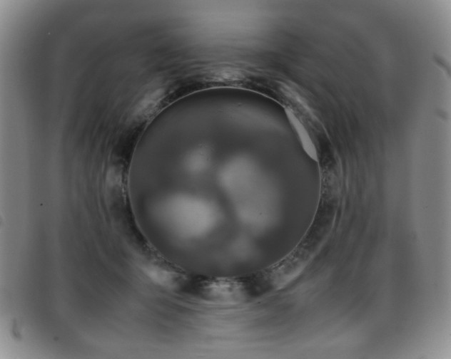 X0000097820415200803141145