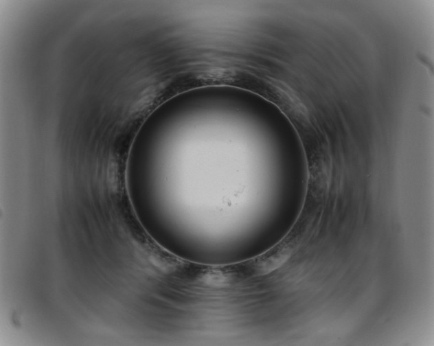 X0000097820416200803141145