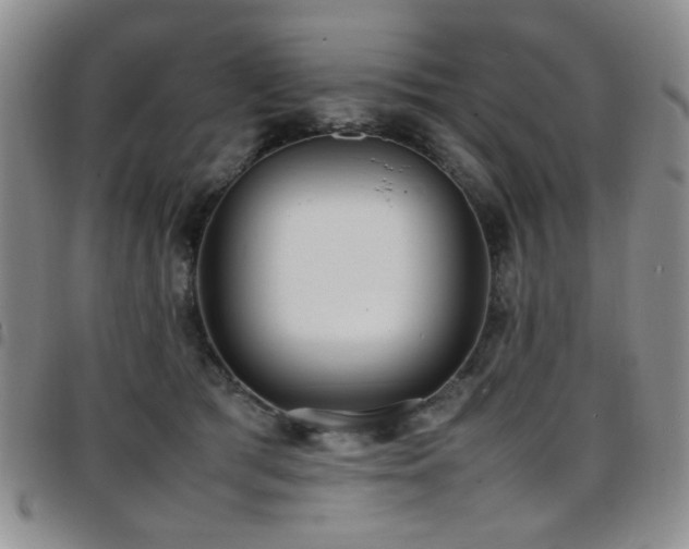 X0000097820417200803141145