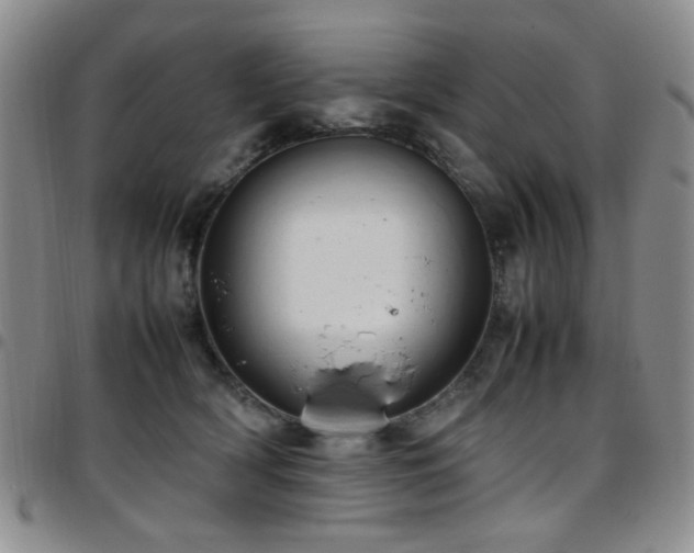 X0000097820418200803141145