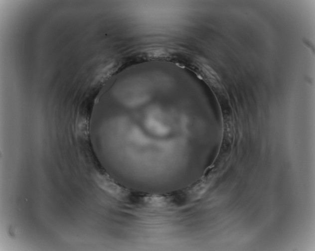 X0000097820419200803141145