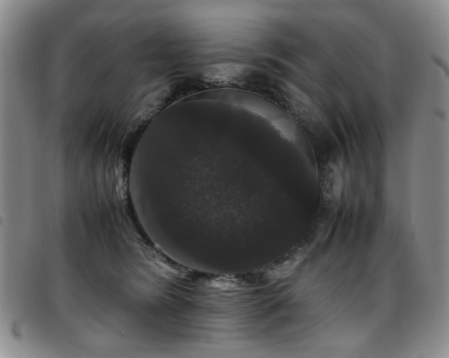 X0000097820420200803141145