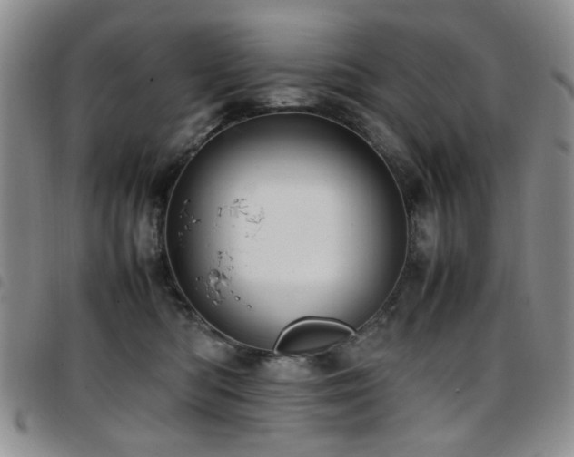 X0000097820422200803141145