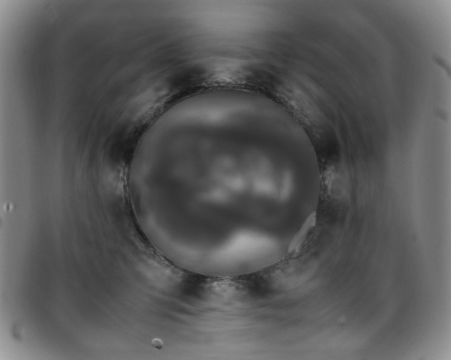 X0000097820423200803141145