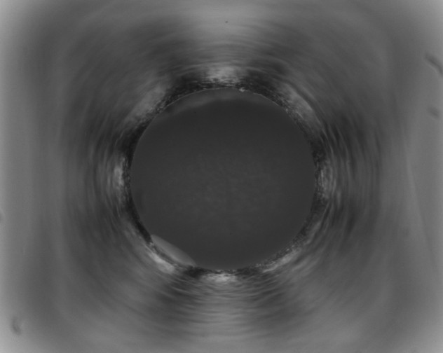 X0000097820424200803141145