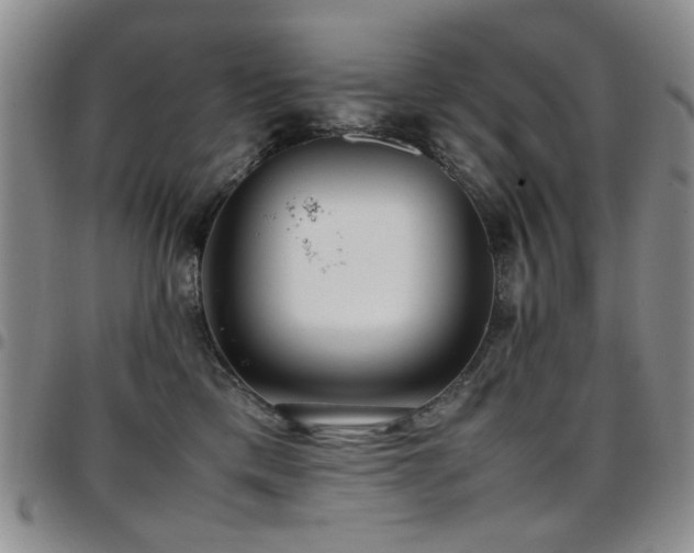 X0000097820425200803141145