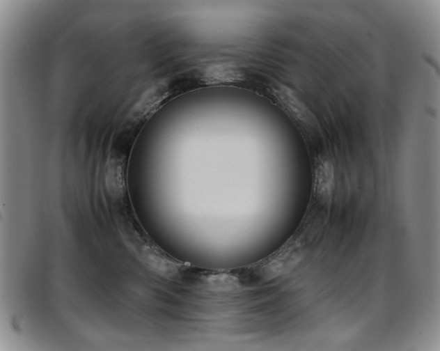 X0000097820426200803141145