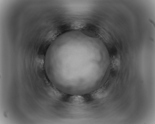 X0000097820427200803141145