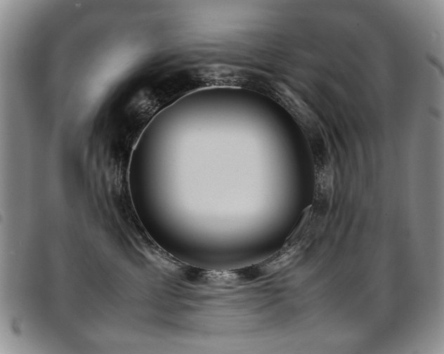 X0000097820429200803141145