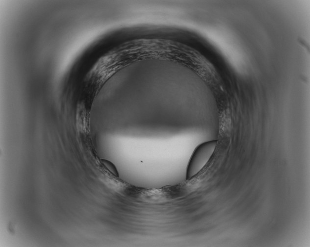 X0000097820431200803141145