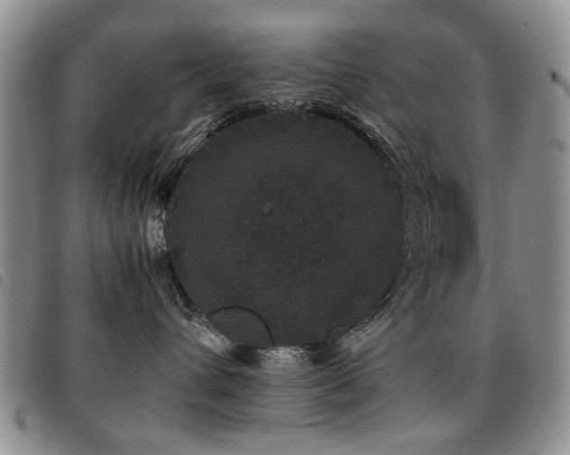 X0000097820432200803141145