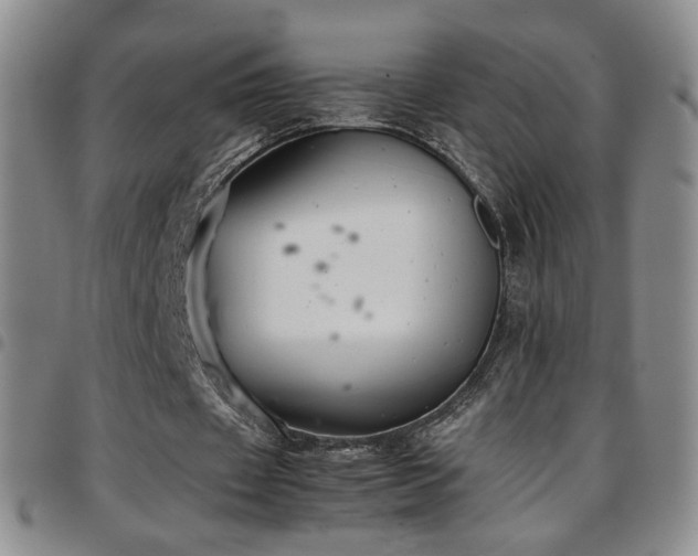 X0000097820433200803141144