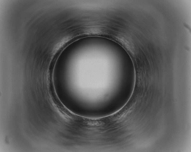 X0000097820439200803141144