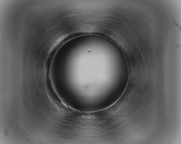 X0000097820440200803141144