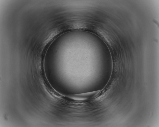 X0000097820443200803141144