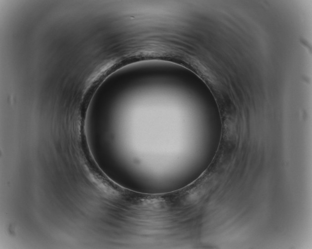 X0000097820446200803141144