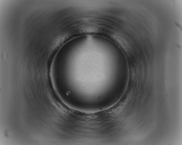 X0000097820447200803141144