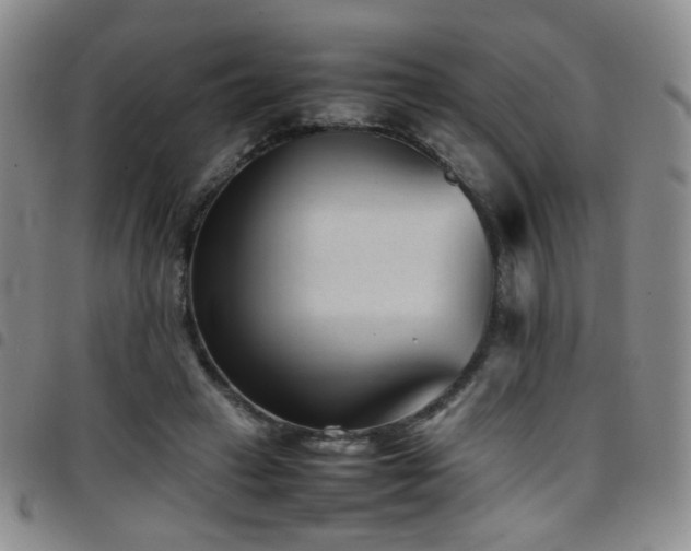 X0000097820449200803141144