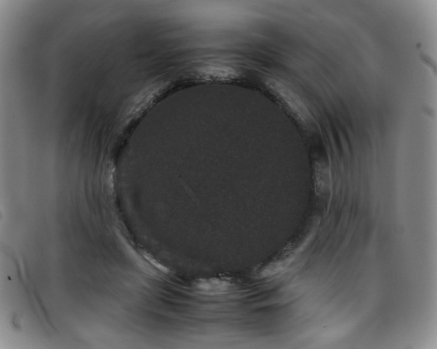 X0000097820451200803141144