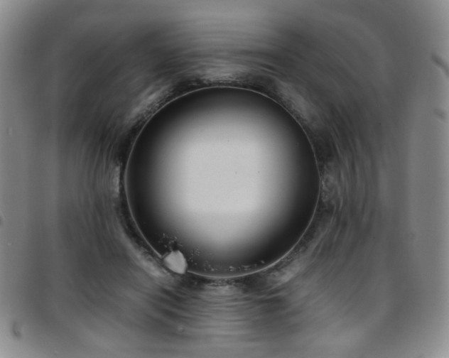 X0000097820454200803141144