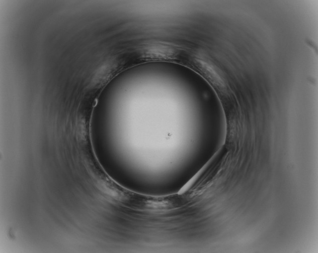 X0000097820457200803141144