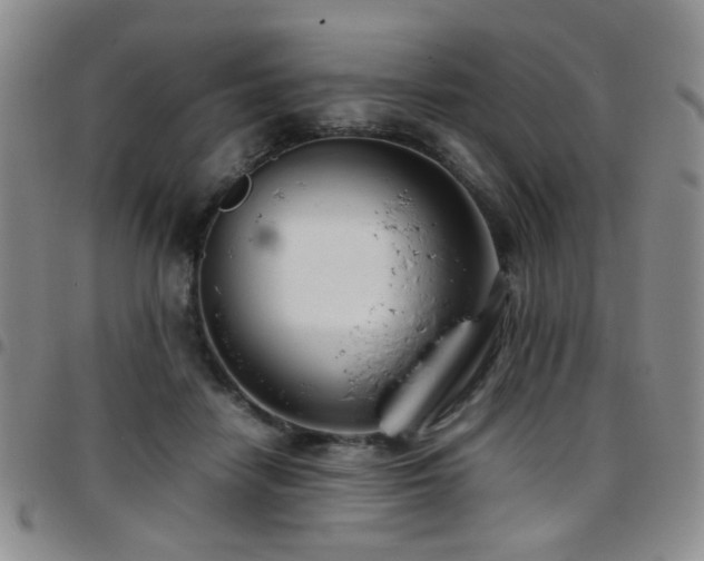 X0000097820458200803141144