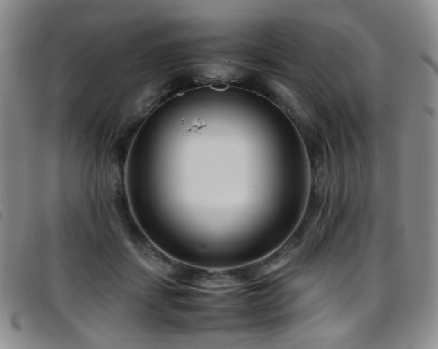 X0000097820459200803141144