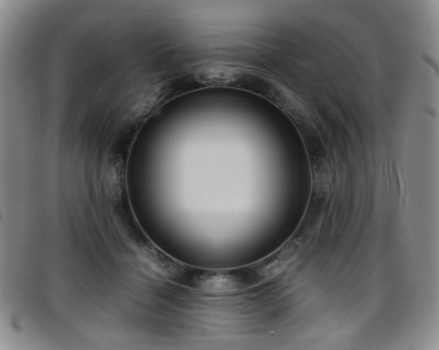 X0000097820460200803141144