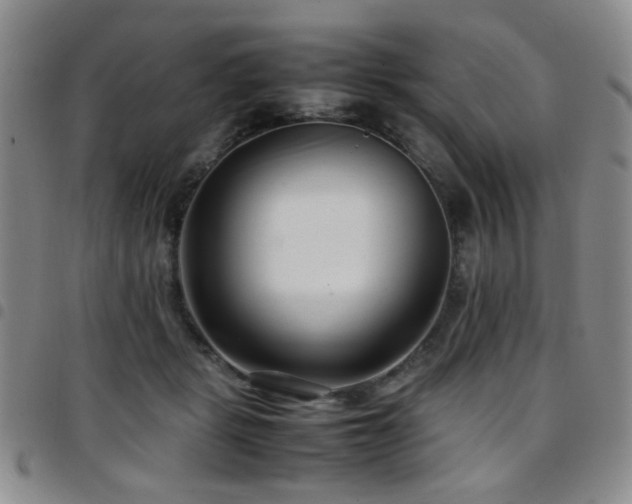 X0000097820461200803141144