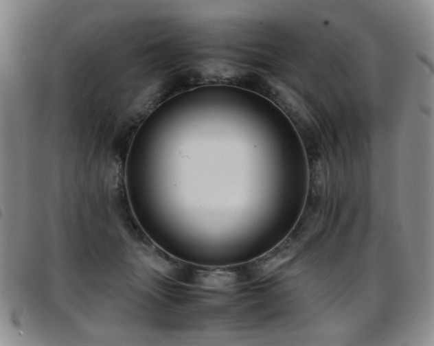 X0000097820463200803141144