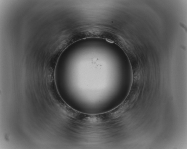 X0000097820464200803141144