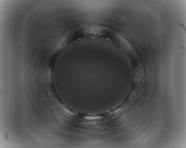 X0000097820465200803141144