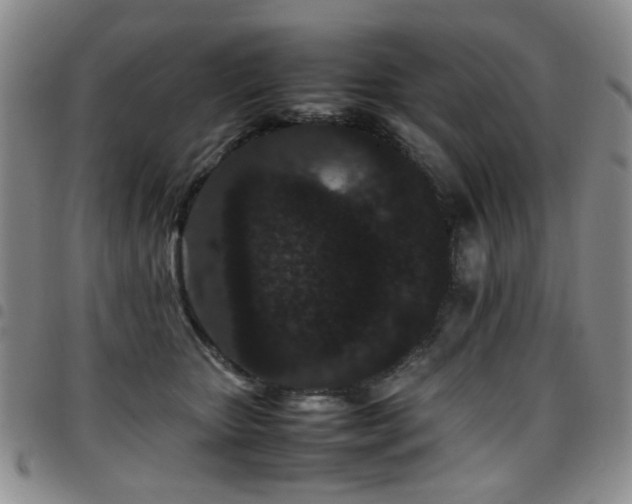 X0000097820467200803141144